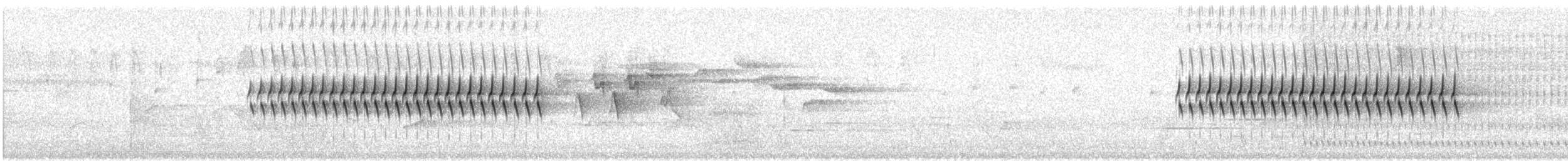 ユキヒメドリ（hyemalis／carolinensis） - ML638810567