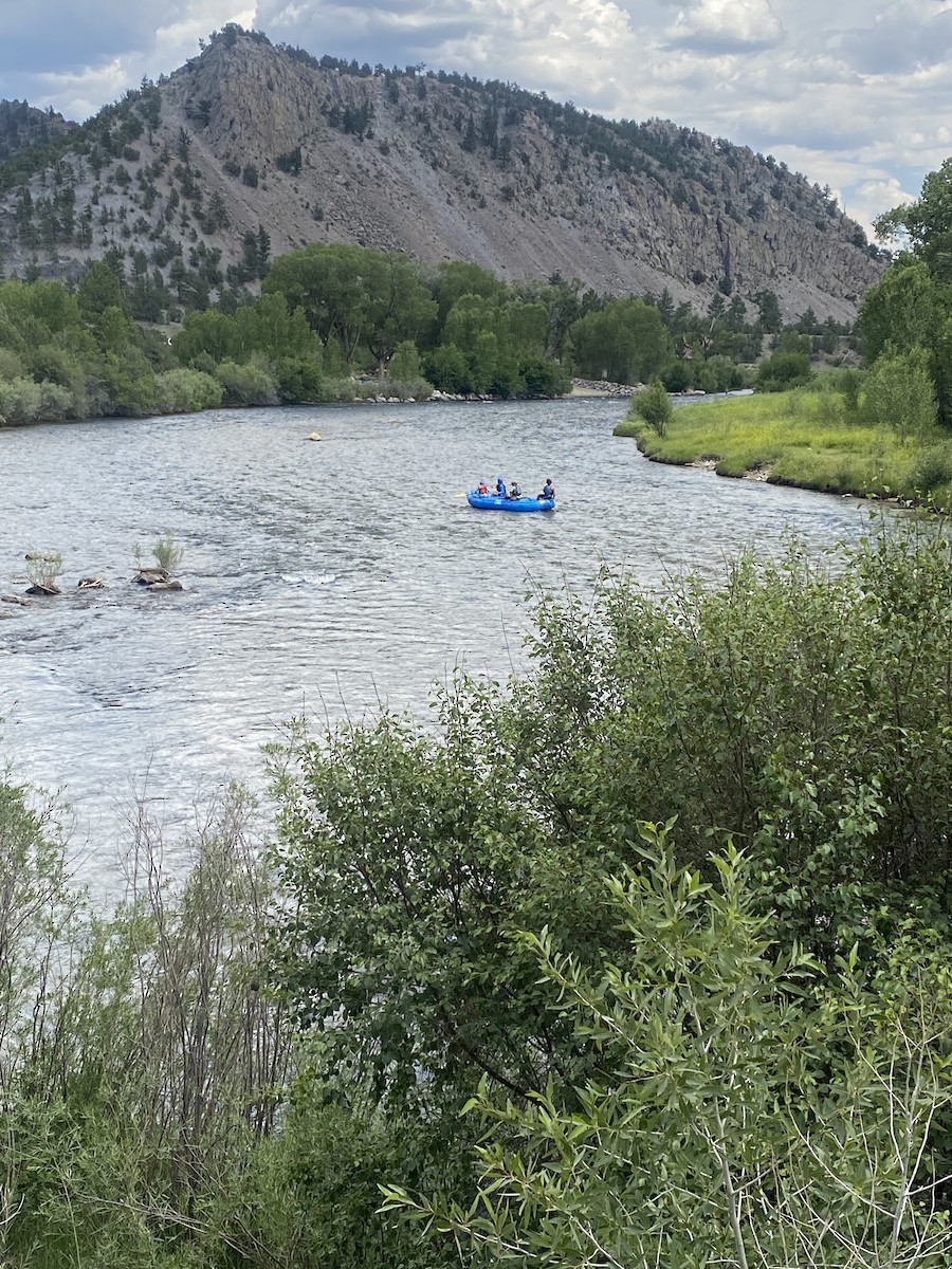 null - ML638810569