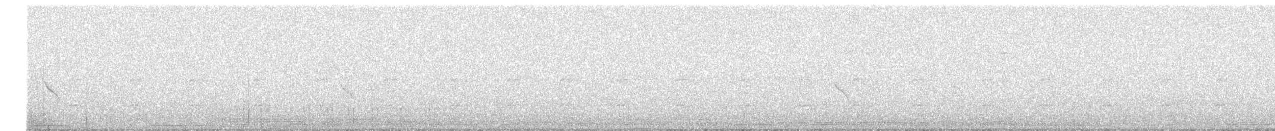 Шишкар ялиновий - ML638810756