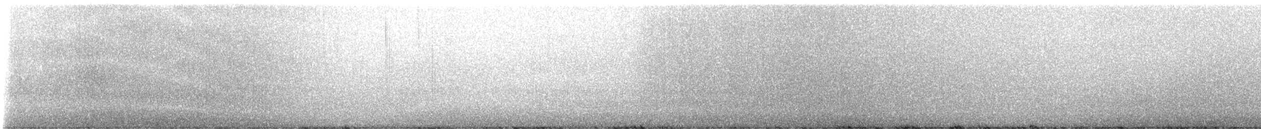 Piping Plover - ML638811498
