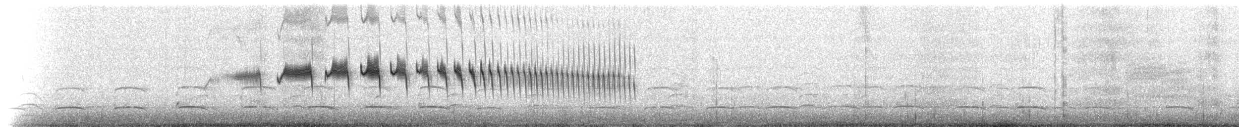 Scribble-tailed Canastero - ML638812310
