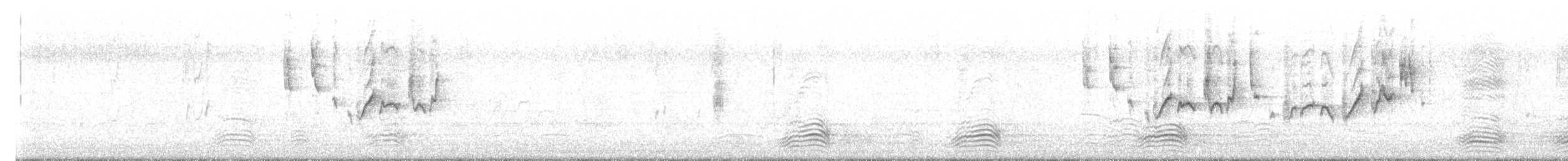 stumpnebb - ML638812821