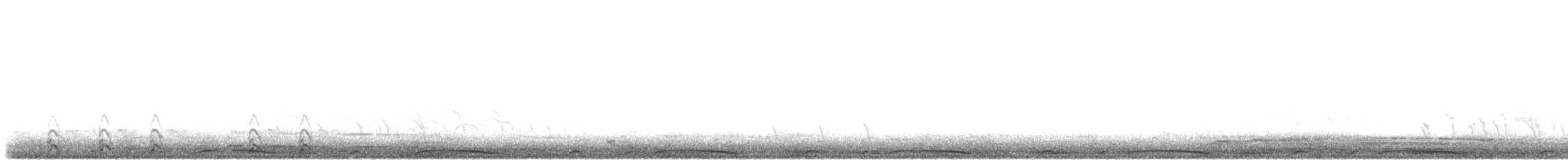 Pale-vented Pigeon - ML638813233