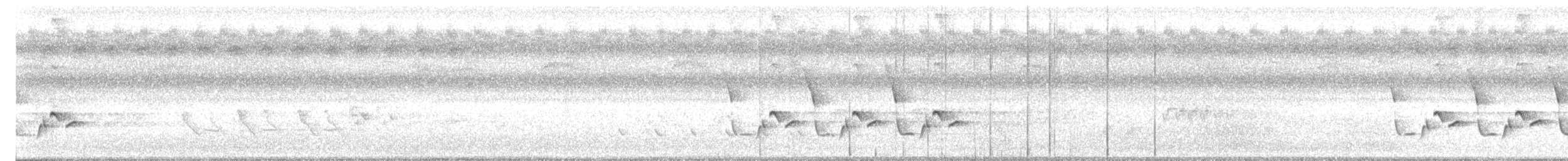 チャバラマユミソサザイ - ML638813276