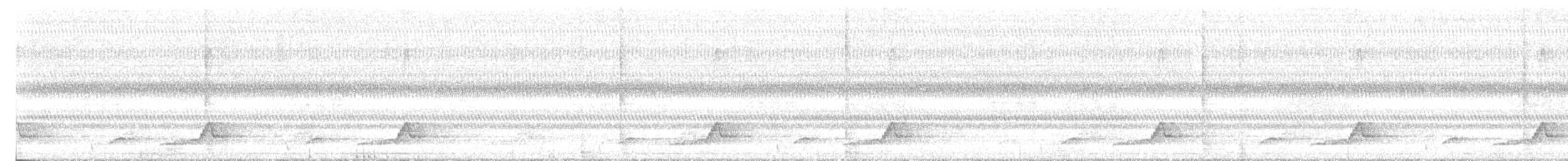 Eastern Whip-poor-will - ML638813323