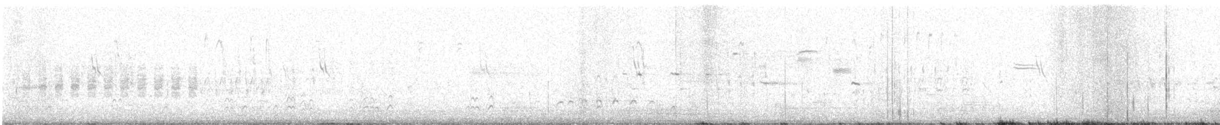 Black-tailed Gnatcatcher - ML638813924