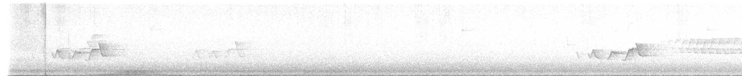 Pine Warbler - ML638814088