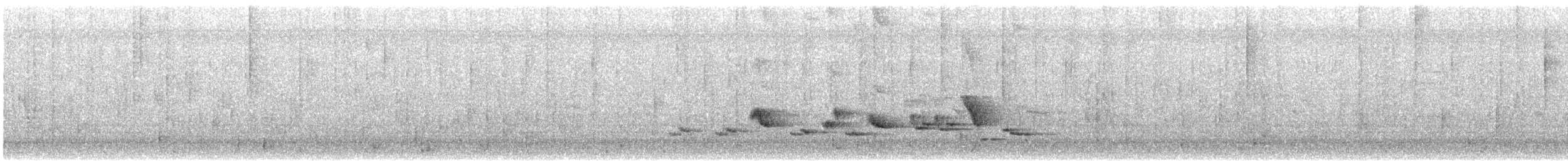 Scott's Oriole - ML638814158