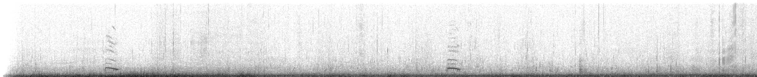 Andean Gull - ML638814588