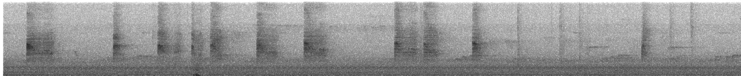 ズグロムジチメドリ（rufiventris／harterti） - ML638814656