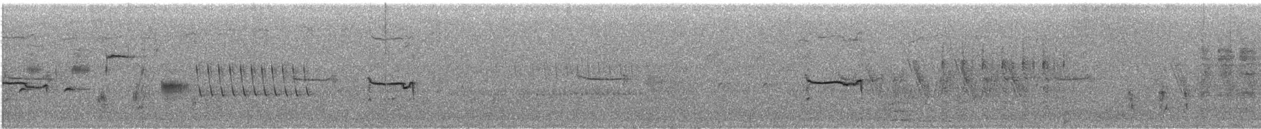 bird sp. - ML638816642