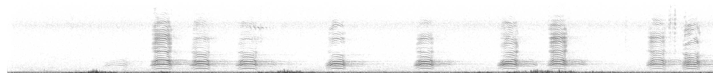 australkråke - ML638817942