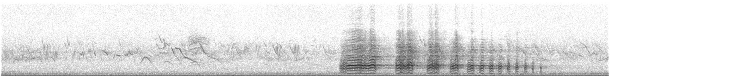 Erckelfrankolin - ML63881851