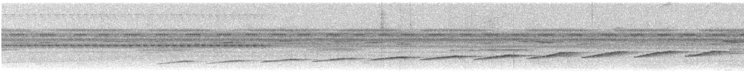 Common Scale-backed Antbird - ML638818743