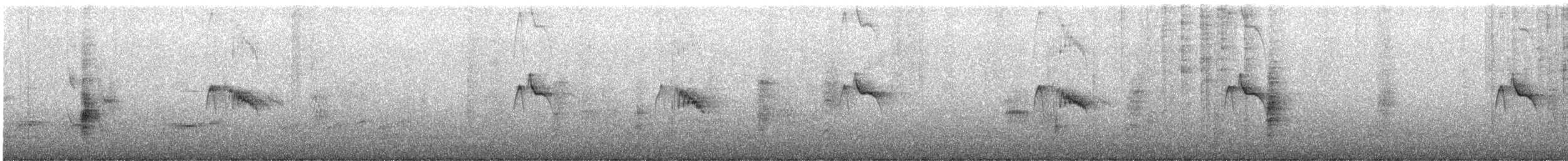 Чёрный фиби - ML638819609