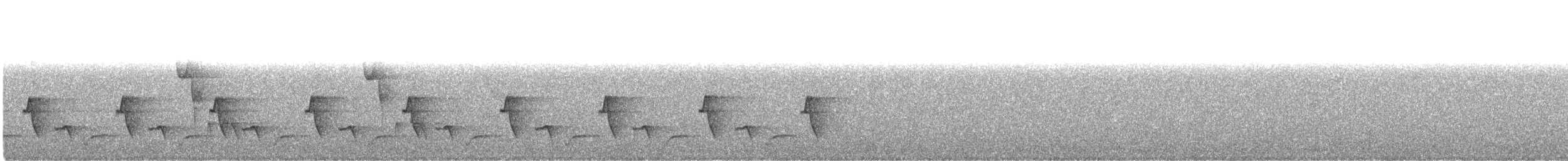 Bay Wren - ML638821495
