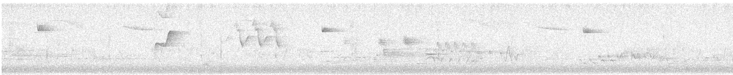 American Redstart - ML638822630