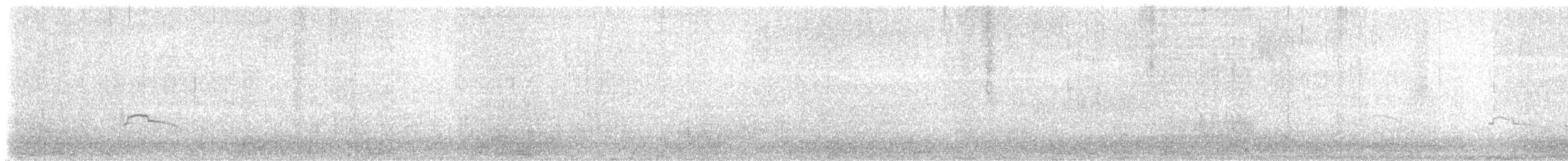 marmordvergteist - ML638822682