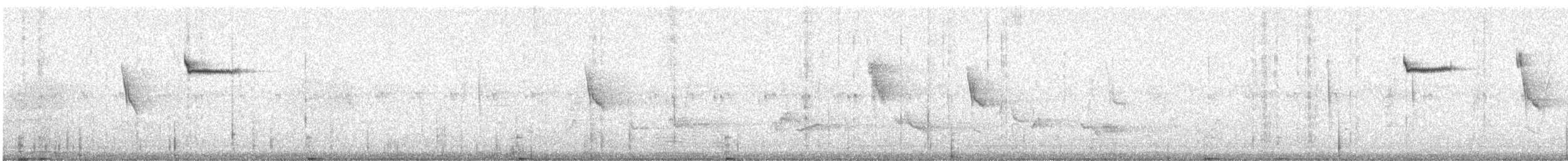 Brown Creeper - ML638824420
