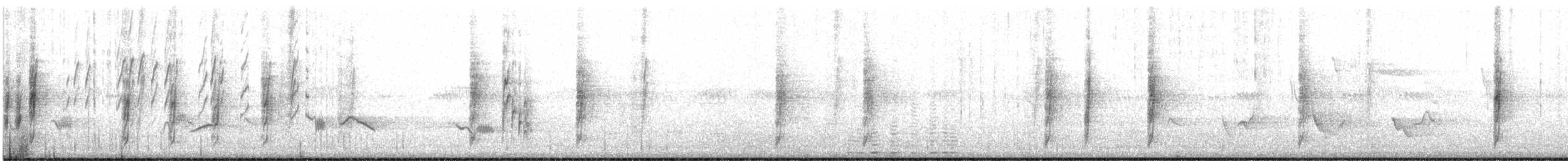 Bewick's Wren - ML638824696