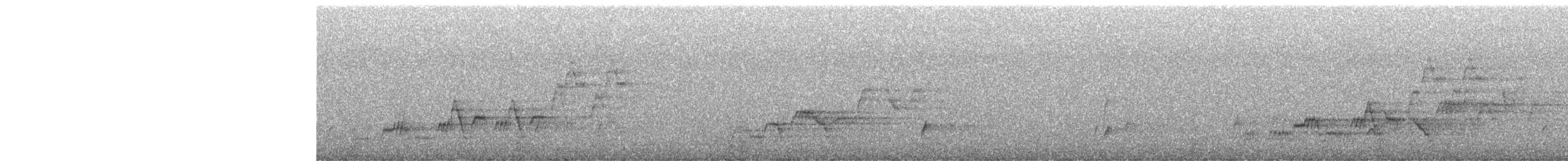 Swainson's Thrush - ML638825138