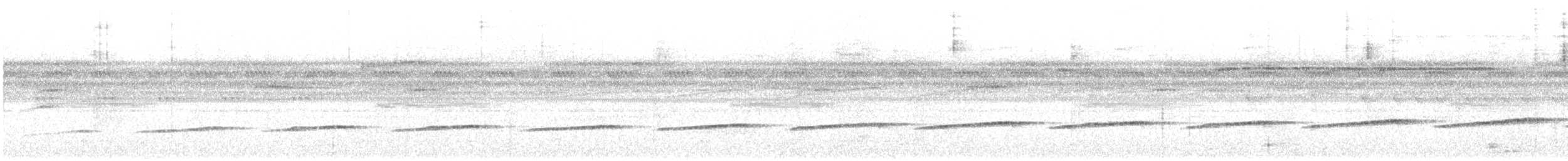 Common Scale-backed Antbird - ML638825214