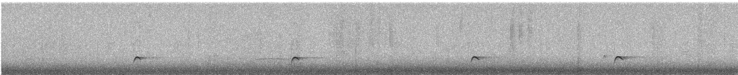 Greater Pewee - ML638825587