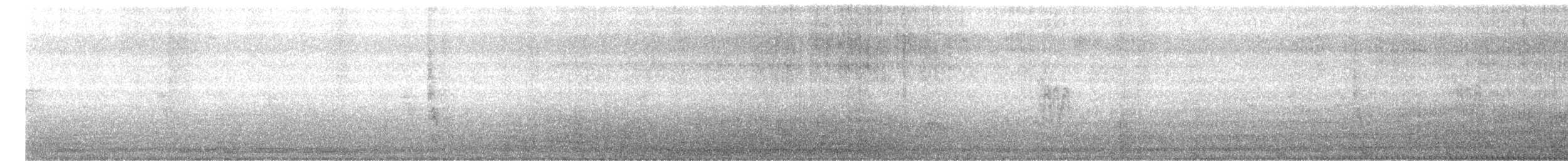 gråspurv - ML638825812