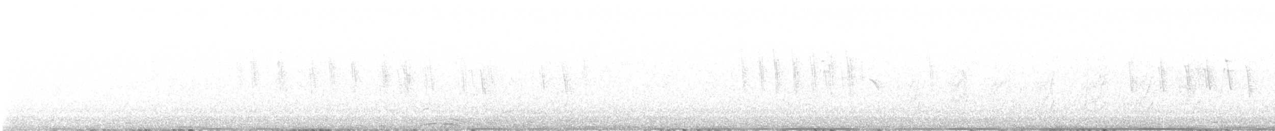 Violet-green Swallow - ML638827743