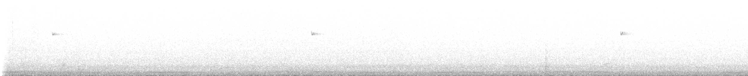 Western Flycatcher (Pacific-slope) - ML638828082