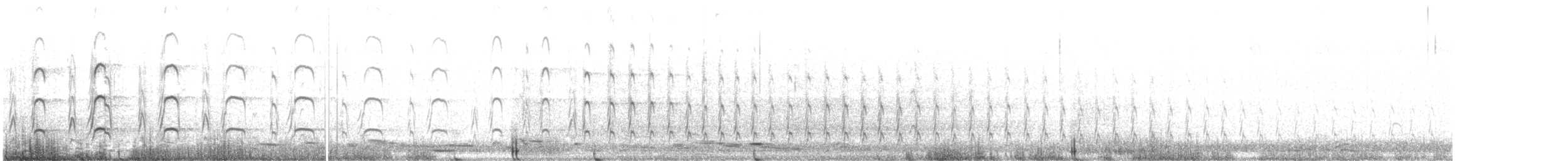 australtjeld - ML638828309