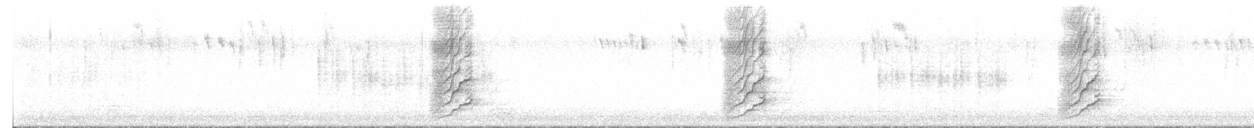 Méliphage à oreillons bleus - ML638829864