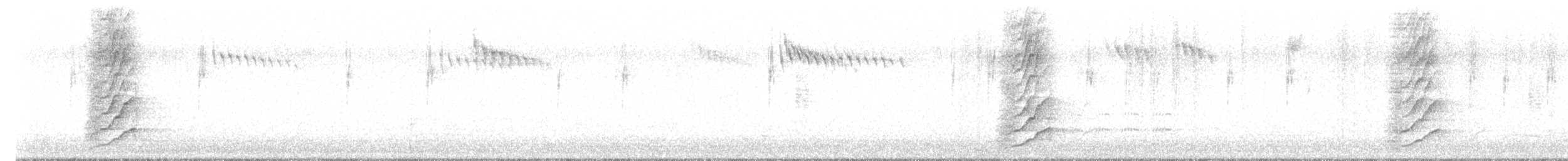 Méliphage à oreillons bleus - ML638829874