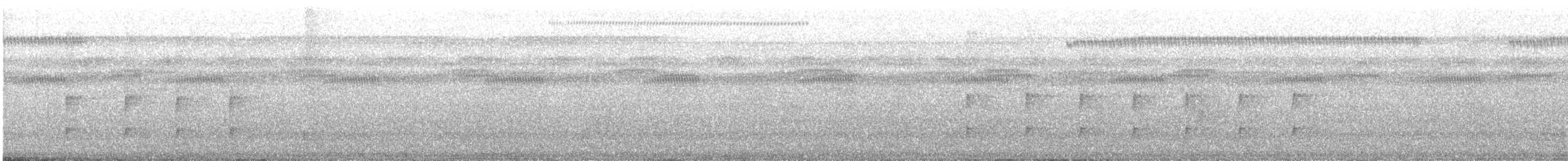 Microtyran casqué - ML638837326