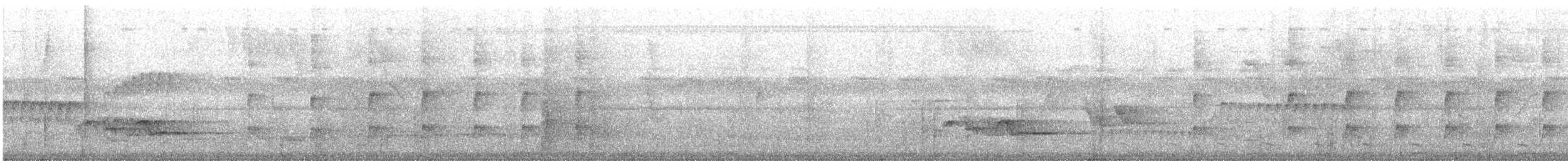 Microtyran casqué - ML638837331