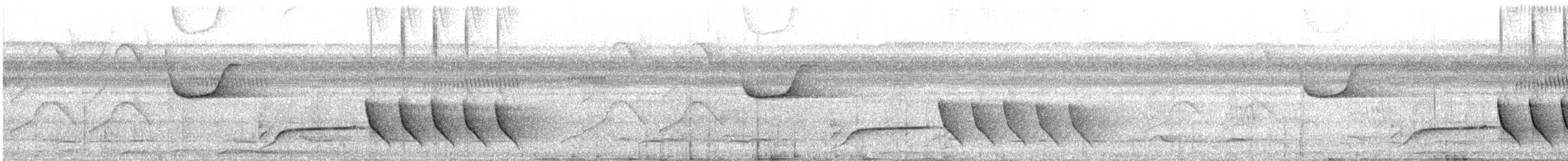 Coraya Wren - ML638837403