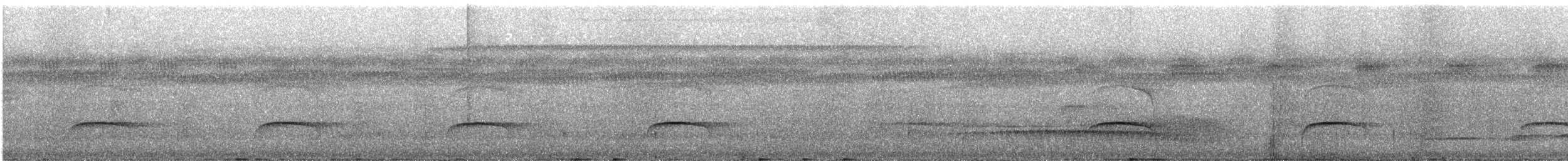 Paradise Jacamar - ML638837465