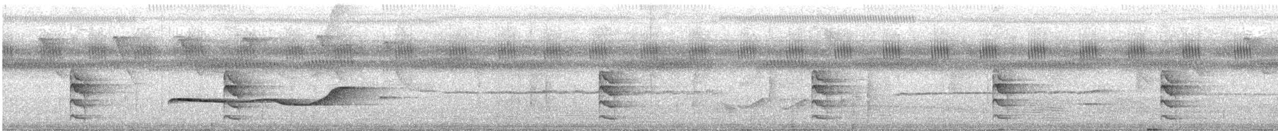 Olivaceous Schiffornis - ML638837878