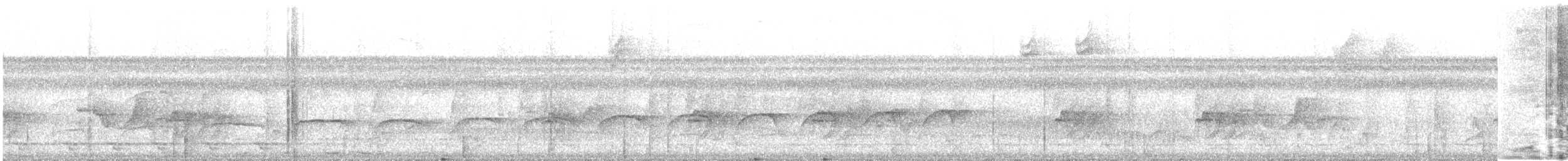 Gray Antwren - ML638838013