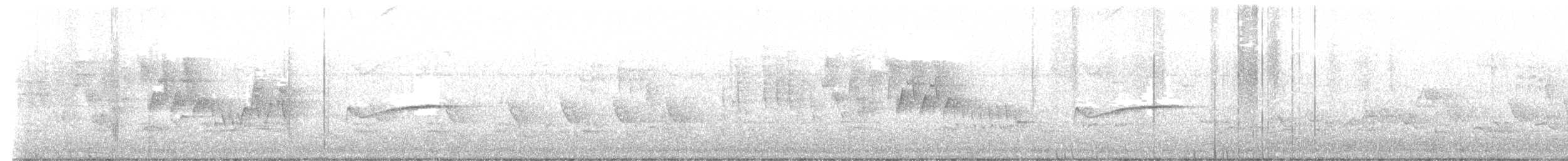 Eastern Wood-Pewee - ML638840587