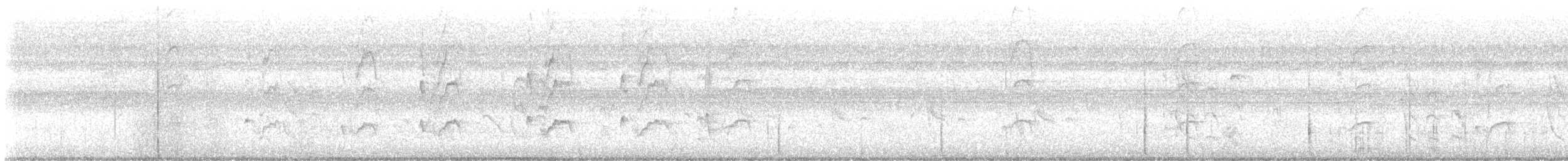 Red-cockaded Woodpecker - ML638841775