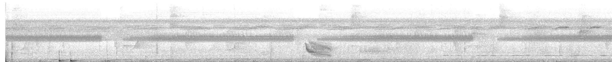White-cheeked Antbird - ML638846685