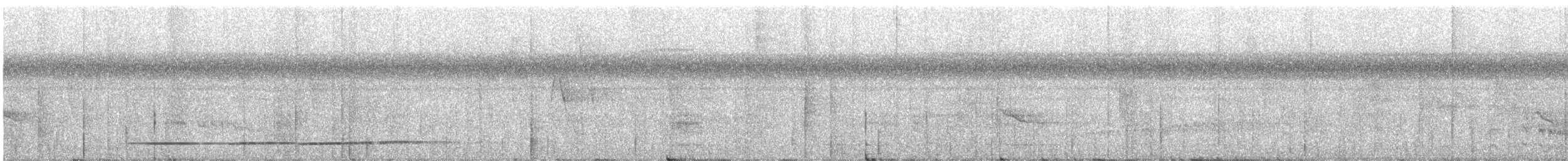 Undulated Tinamou - ML638846967
