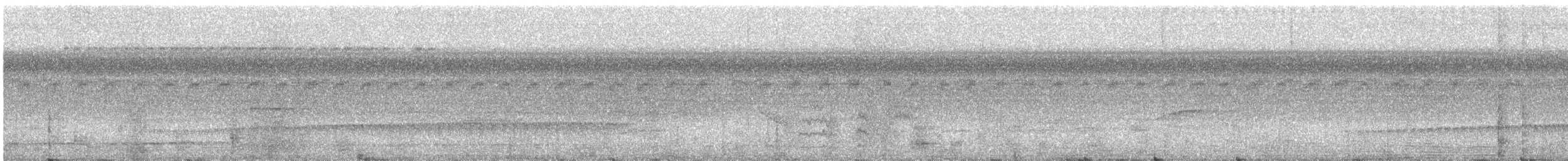 Amazonian Streaked-Antwren - ML638846982