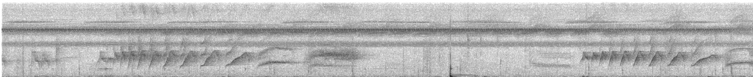 Lunulated Antbird - ML638846989