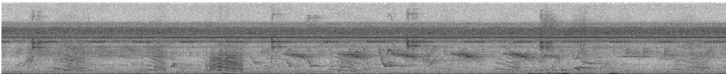 チャバラオオツリスドリ - ML638847635