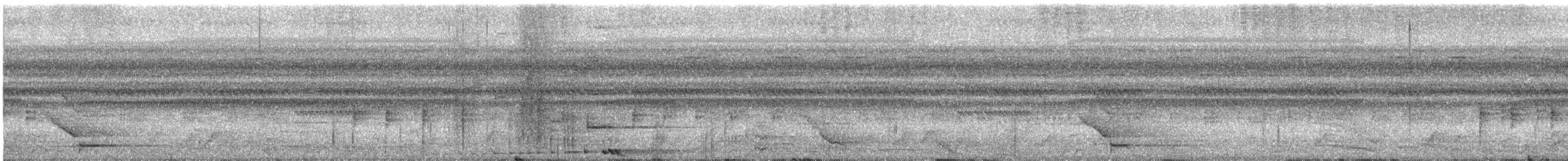 チャバラオオツリスドリ - ML638847636