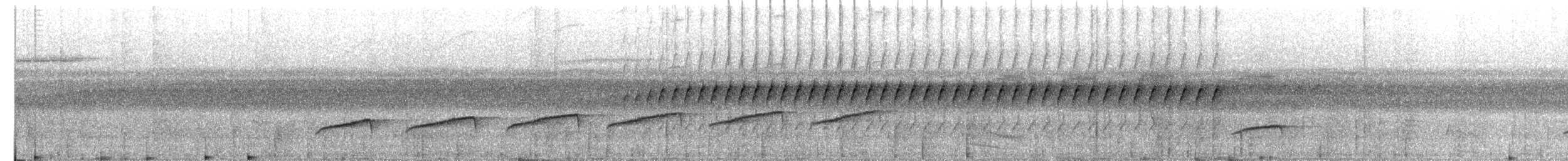 Common Scale-backed Antbird - ML638848142