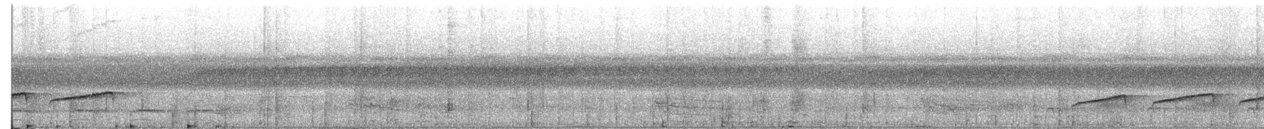 Common Scale-backed Antbird - ML638848143