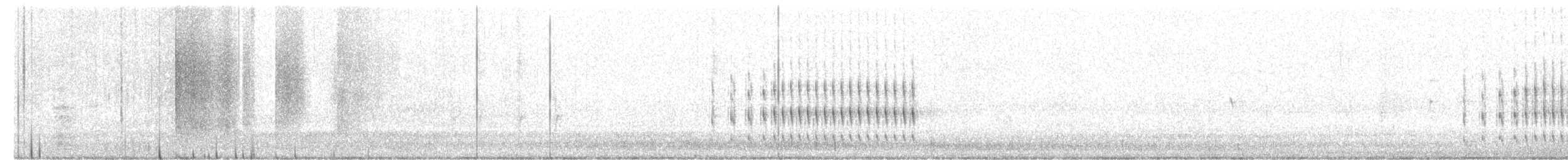 Sarı Gıdılı Dikenkuyruk - ML638849053